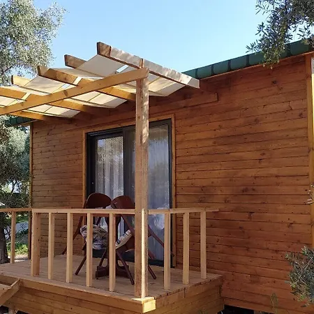 Отель Infinity Ruby 4*